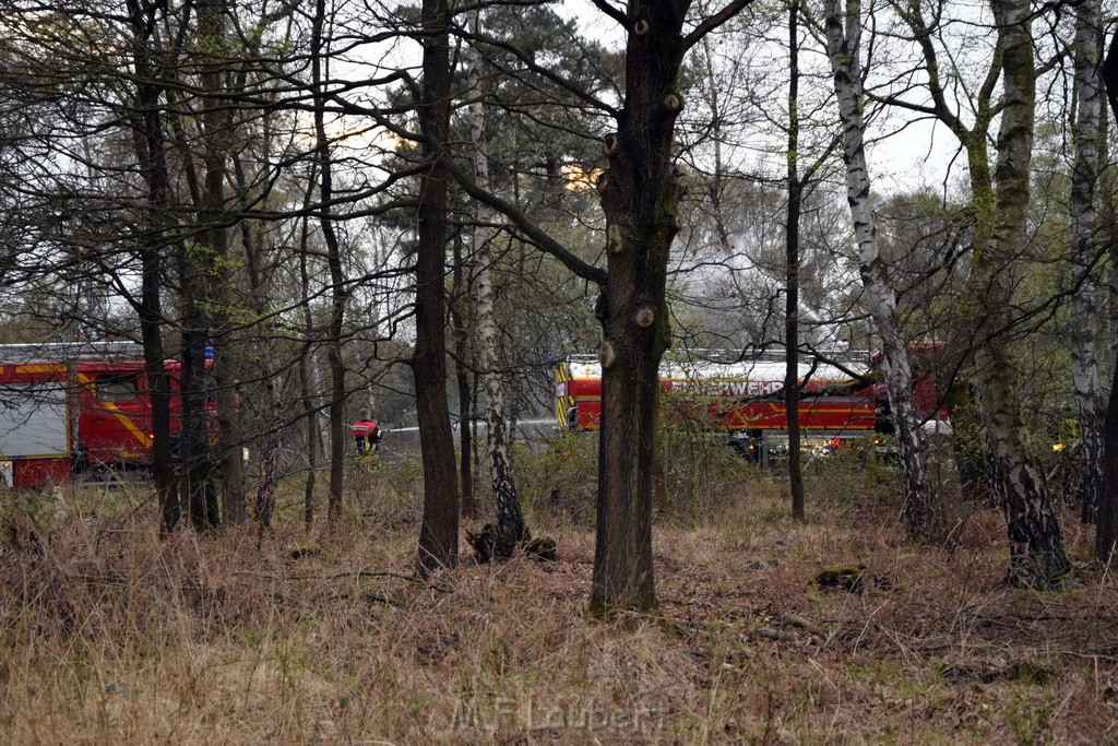 Waldbrand Wahner Heide Troisdorf Eisenweg P490.JPG - Miklos Laubert